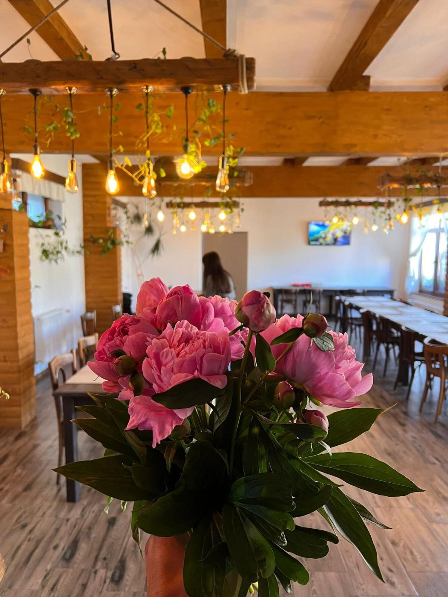 Famives Vendeghaz Bed & Breakfast Racu Ngoại thất bức ảnh